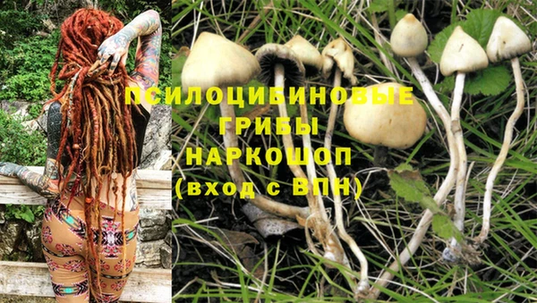 экстази Алексеевка