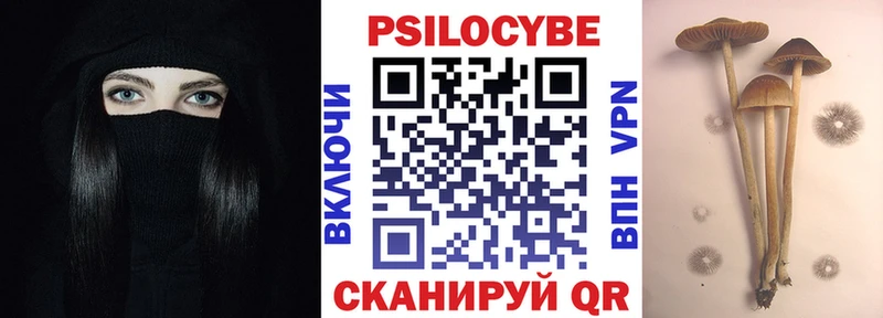 как найти закладки  Пугачёв  Псилоцибиновые грибы ЛСД 