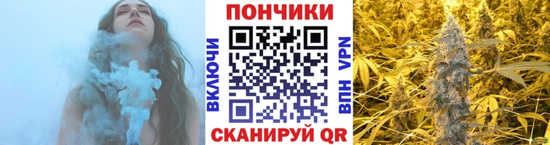 ОМГ ОМГ ССЫЛКА  Пугачёв  Марихуана сатива 